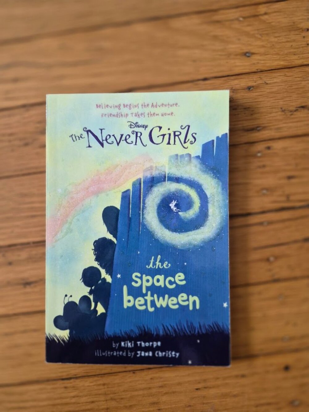 Disney "The Never Girls"